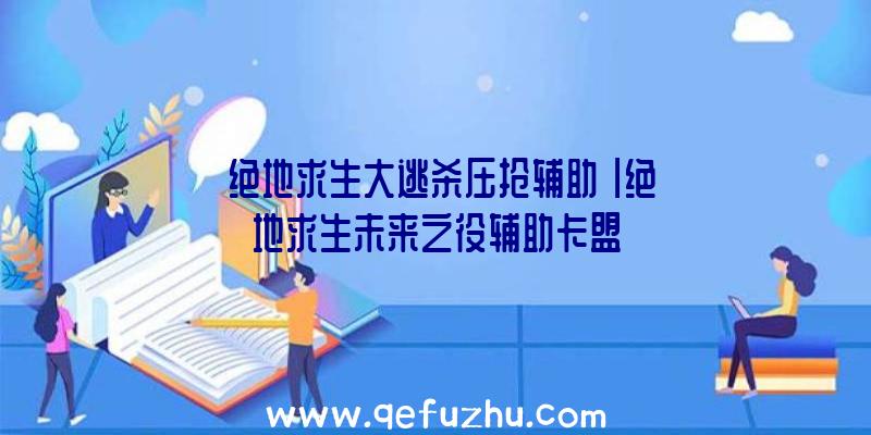 「绝地求生大逃杀压抢辅助」|绝地求生未来之役辅助卡盟